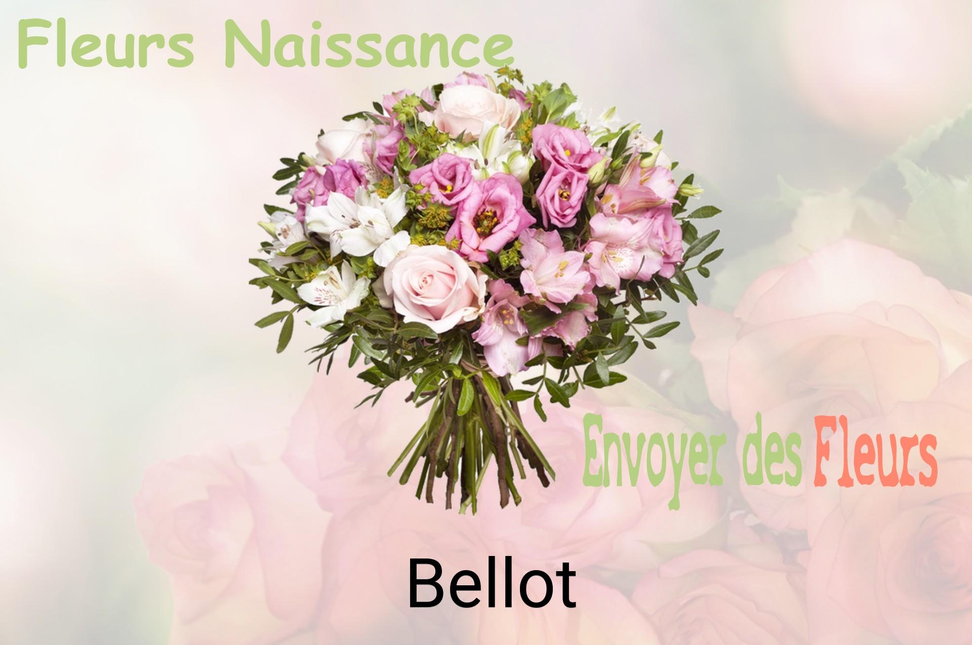 Bouquet de fleurs de naissance livré à Bellot